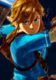 Link - Hyrule Warriors: Age of Calamity - Playable Character Voices (Nintendo Switch)