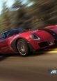 Darius Flynt - Forza Horizon - Racers (English) (Xbox 360)