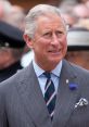 King Charles smiling at a public event, wearing a striped suit and a blue flower pin, exuding royal elegance.