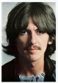 Harrison Type your text and hear it in the voice of Harrison .