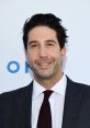 David Schwimmer smiling at a public event, wearing a suit with a tie, showcasing his charismatic personality.