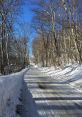 Cold If you are looking to immerse yourself in the chilling world of Cold S, then look no further than the array of