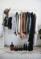 Wardrobe The creaking of an old wooden wardrobe filled the room as the armario's doors were slowly pulled open. The