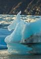 Melting You can hear the crunch of footsteps as someone traverses a field of melting snow and mud in the winter. The of