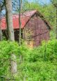 Windtryst-Farm It was a bustling and vibrant day at Windtryst Farm, with the of chatter and laughter filling the air as