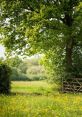 Contryside The countryside is alive with that speak of nature's beauty and serenity. As you walk along the winding road,