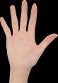 Dedos The first , "Chasquidos De Dedos," captures the sharp, distinct noise of snapping fingers. This is familiar to