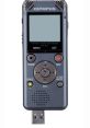 Dictaphone Madartamadas chirped loudly from the trees, their melodious songs filling the air with joyful tunes. The sweet