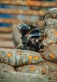 Paintball Imagine standing in the midst of a paintball arena, surrounded by the of excitement and adrenaline. The first