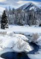 Neige Step In Snow: As you listen to the of footsteps crunching through the thick layer of snow, you can almost feel the