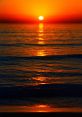 Sunset The symphony of nature comes alive at Sunset S, a tranquil haven where the of the wild blend harmoniously with the