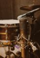 Drun-Looop The first , labeled as "5 113Bpm #drun looop #durm #percusion #drum #rhythm", is a vibrant and pulsating mix of