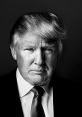 Donald Trump Type your text and hear it in the voice of Donald Trump (President).