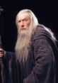 Gandalf, the iconic wizard from Middle-earth, dressed in a dark robe, with a long beard and staff, exuding wisdom.