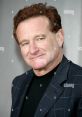 Robin Williams smiles at a red carpet event, showcasing his iconic style and warm personality in a patterned blazer.