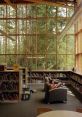 Forest Library The Forest S Library is a place of tranquility and serenity, where the of nature blend harmoniously with the