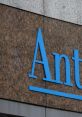 Blue "Anthem" signage on a textured stone wall, representing the Ohio Anthem company, showcasing modern branding.