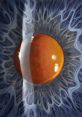 Cataract Library A of effects.