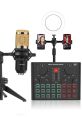 Gold microphone and sound mixer setup for streaming or voice recording, ideal for US Male 1 - Computer Voice applications.
