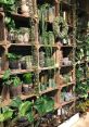 Plants Library The Plants S Library is a treasure trove of natural , each one capturing the essence of the great outdoors.