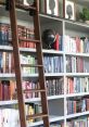 Roller Library Garage - Electric Roller Door Shutter - Creaking, rattling,ueaking with thud, and mechanism. The first
