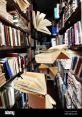 Flying by Library If you close your eyes and listen closely, you can hear the swooshing of a Whoosh passing by. It is a