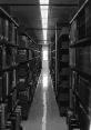 Nikon Library The of the Nikon S Library are a symphony of clicks, beeps, and whirs that transport you into the world of