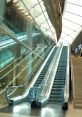 Electric escalators Library The Electric escalators S Library is a treasure trove of that transport you to different