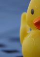 Yellow rubber duck with a cheerful expression against a blue background, evoking fun and nostalgia for childhood playtime.