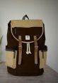Stylish Liam backpack in brown and beige with leather straps, perfect for travel or casual outings. Iconic and functional design.