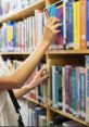 Erbil Library A symphony of fills the air around Erbil's Library, creating a vibrant atmosphere that exudes the essence