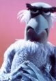 Sam the Eagle from The Muppets, exhibiting a serious expression against a colorful background. Iconic puppet character.