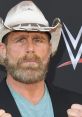 Shawn Michaels (trained by justinjohn-03) TTS Computer AI Voice