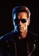 Terminator T-800 (Arnold Schwarzenegger) TTS Computer AI Voice
