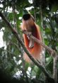 Bird If you listen closely, you can hear the gentle pitter-patter of raindrops falling from the sky. The is soothing and