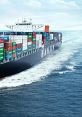 Cargo Cargo Plane Ambiance - As the cargo plane takes flight, the roar of the engines fills the cabin with a deep,