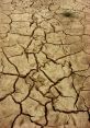 Dry Dry Cough - The harsh, raspy of a dry cough echoed through the empty room. The sharp barking noise startled me, causing