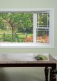 Window The unmistakable of a window shattering is enough to send chills down anyone's spine. The loud, abrupt noise of a