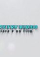 Petry Video Dance fills the room with its vibrant energy, enticing listeners to move and groove to the beat. The lively