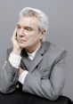 David Byrne Type your text and hear it in the voice of David Byrne.