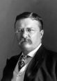 Portrait of Theodore Roosevelt, the 26th U.S. President, showcasing his iconic mustache and historic style.