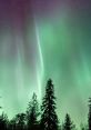 Aurora from aurora. # #mix #techno #electronica #percussion #drum #alinstrument #trumpet #folk #ambient #newage #sirens