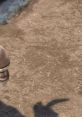 Burro de Shrek en un entorno natural, mostrando su parte inferior y sombra sobre el suelo polvoriento.