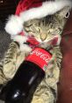 Cokey Cola Cat