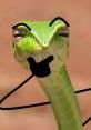 Jbninjalizard Hi, I'm Jbninjalizard! I am a college student taking a technology class, so I am still learning about