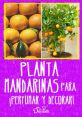 Matando Mandarinas from Matando Mandarinas. #podcast #speech #femalespeech #womanspeaking #narration #monologue #typing