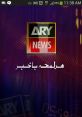 Ary from ary. #effects #speech #malespeech #manspeaking # #singing #synthesizer #alinstrument