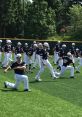 Youth baseball players practicing on a field, showcasing teamwork and athleticism in a vibrant outdoor setting.