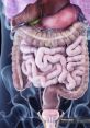 ABdoman from aBdoman. #speech #narration #monologue #femalespeech #womanspeaking #silence #malespeech # #newage