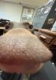 Lance21313 I sing a bit. #cover Little vocal only cover of My Way by Frank Sinatra